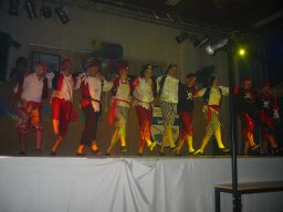 Kappensitzung 2011