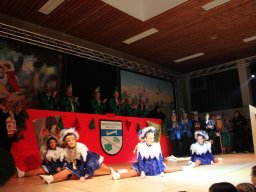 Kappensitzung 2013